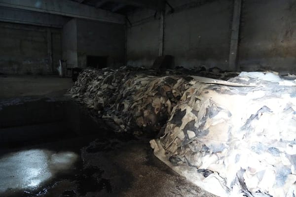 ЖК депутаты Нарынга тери иштетүүчү завод куруу маселесин көтөрдү