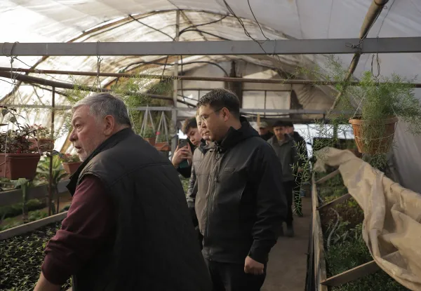 Быйыл Ош шаарында 20 миңге жакын көчөт отургузулат