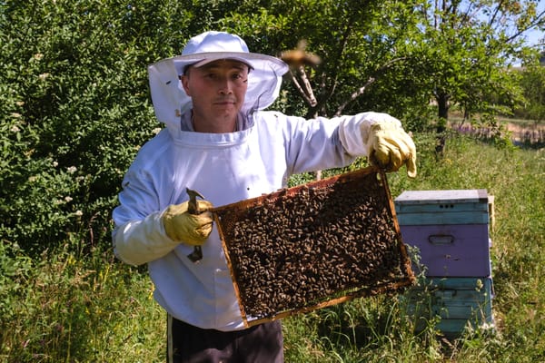 Келечекте “Баткен тоо балы” брендин эл аралык рынокко чыгарам – Азамат Алимбек уулу