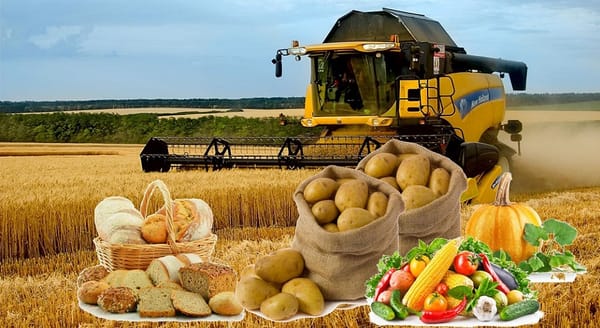 Кыргызстан 17 түр айыл чарба продукциясын экспорттой алат