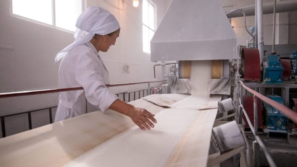 Кыргызстанда  2024-жылга караганда былтыр кант өндүрүү 523 млн сомго көп болду