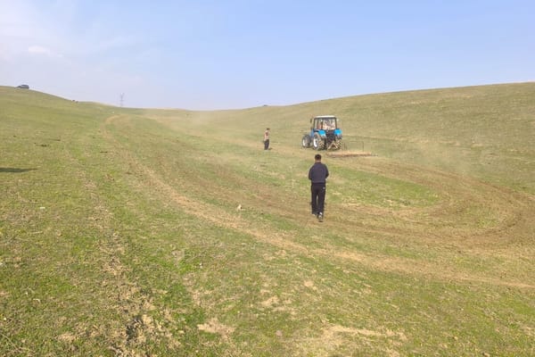 Кадамжай районунда 20 гектар жер жайыт жер иштетүүгө берилди