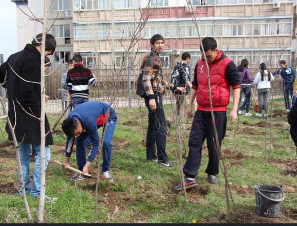 Быйыл Бишкекте 50 миң дарак отургузулат