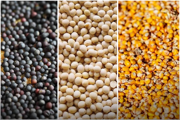 Кайсы товарлар КНСтан бошотулат?