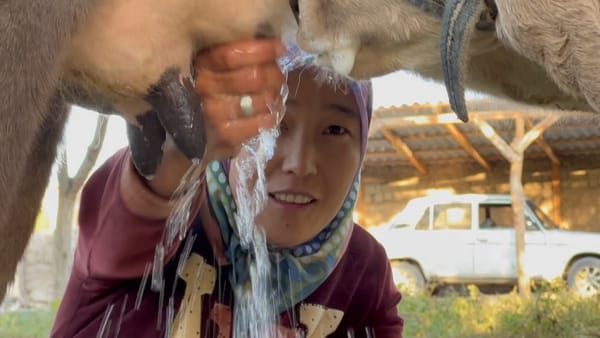 Парламентте сүткө туруктуу баа коюу маселеси көтөрүлдү