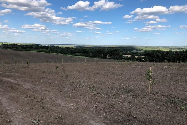 Ак-Суу айыл аймагында 10 гектар кайрак жер завод куруу үчүн трансформацияланат