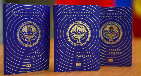 Парламент 16 жашка чейинки балдардын паспорт алуусун жөнөкөйлөтүүнү колдоду