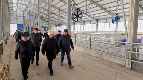 Чүйдө швед технологиясы менен иштеген сүт ферма ишке кирет