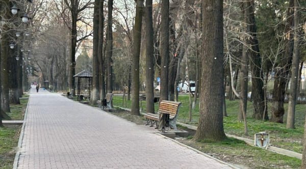 Бишкекте ар бир дарак “паспорт” алат: жаңы экологиялык система ишке кирди