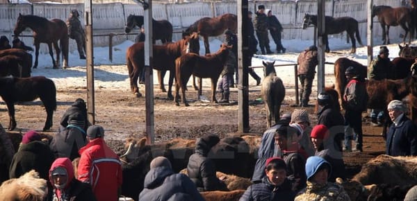 Мал чарбасын экспорттоочулар үчүн кошумча салык 20%дан 3 % чейин төмөндөйбү?