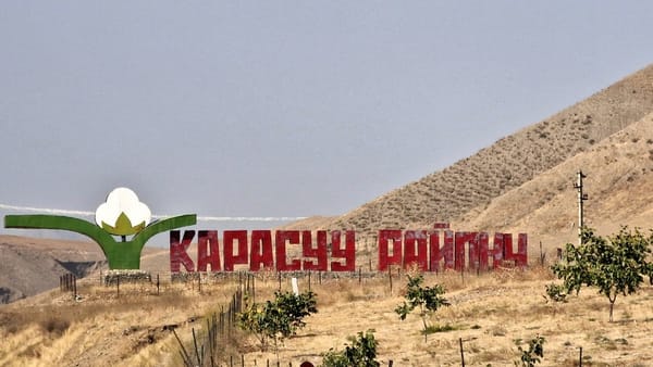 Мамлекеттик жер тилкесин мыйзамсыз жеке менчикке чыгаргандар аныкталды