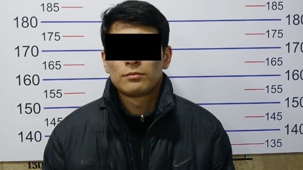 Бишкекте 1,8 млн сом алдоого шектелген жаран кармалды