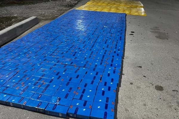 Салык кызматы ORIS маркасындагы мыйзамсыз тамекилерди аныктады