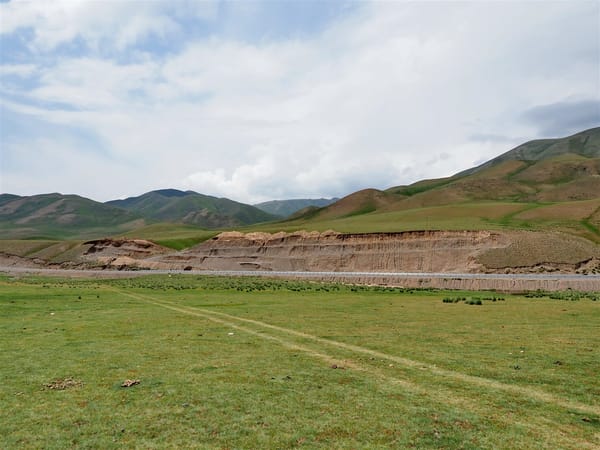 Жайытты мыйзамсыз тосуп алган жаранга 32 716 сом айып пул салынды