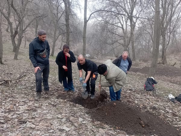 Өзгөн районундагы күрүч талаалары, жаңгак токойлорунун топурагы изилденип жатат