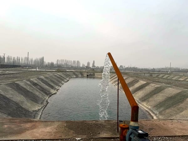 Жалал-Абадда 11,8 млн долларлык балык чарба комплекси курулууда