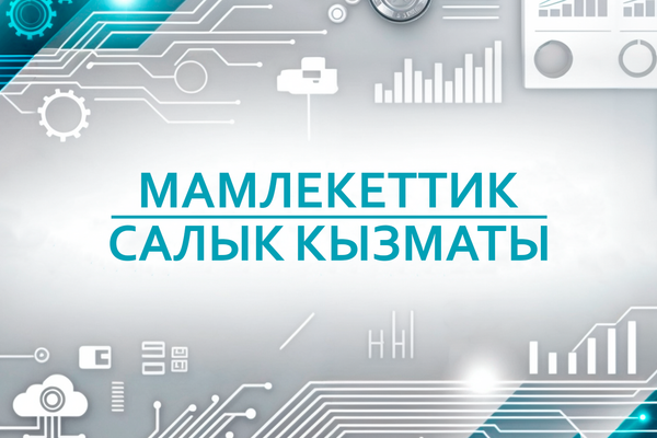 Салык төлөөчүлөр "Салык төлөөчүнүн кабинетиндеги" каттоо маалыматтарын текшериши керек