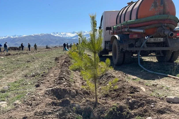 "Чоң Кемин" жаратылыш паркында 5 миңден ашык бак отургузулду