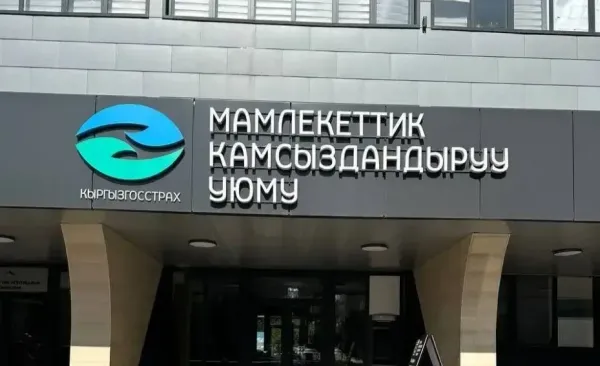 Бишкекте 31 жаран 2 млн 906 миң сомдук камсыздандыруу төлөмдөрүн алды
