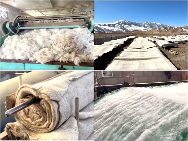 Нарындагы "Кыргыз жүн" ишканасы өндүрүшүн кеңейтүүдө