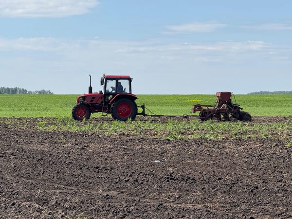 Өлкөдө 1 250 миң гектар жерге айыл чарба өсүмдүктөрүн себүү пландалууда