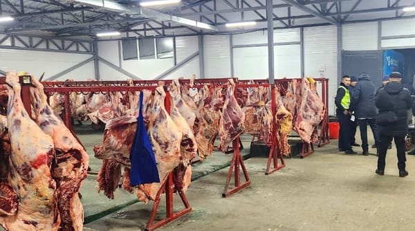 Бишкек базарларында ветеринардык документтери жок эт аныкталды