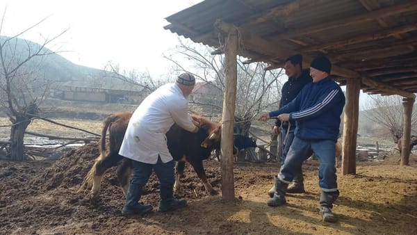 Республикада мал ылаңдарына каршы жазгы алдын алуу иштери башталды