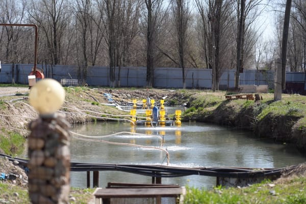 Чүйдө балык чарбалары өнүгүүдө: экспортту кеңейтүү маселеси көтөрүлдү