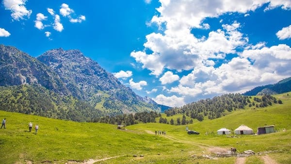 Нарын облусунда 104 гектар жер мыйзамсыз ижарага берилген