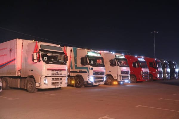 Кыргызстан Иранга 129 тонна гуманитардык жардам жөнөттү