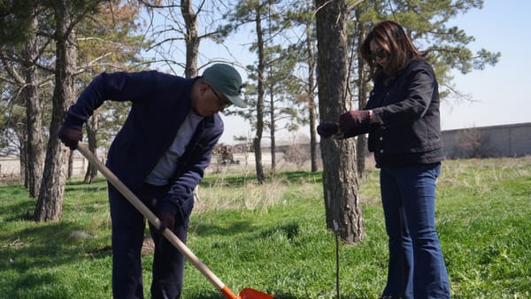 Жол тейлөө ишканаларынын аймагында сейил бактар уюштурулат