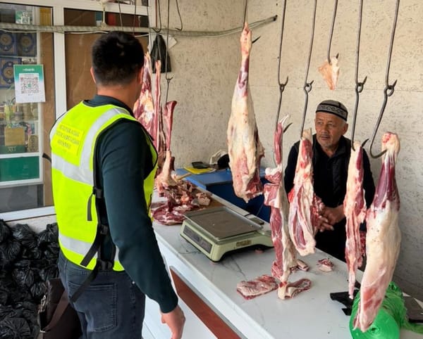 Сузакта мал союу жайларында ветеринардык көзөмөл күчөтүлдү