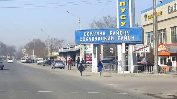 Сокулукта 45 млн сомдук жер тилкелер мамлекетке кайтарылды